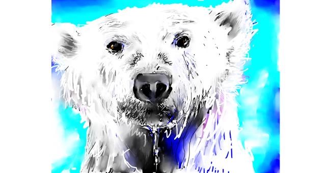 Drawing of Polar Bear by Andrea