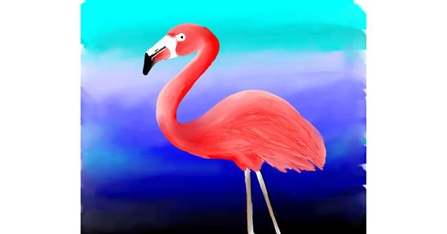 Drawing of Flamingo by Sony