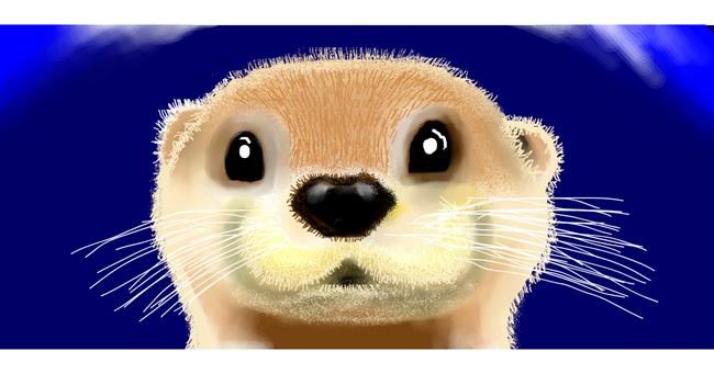 Otter-Zeichnung von RaphaelaKK