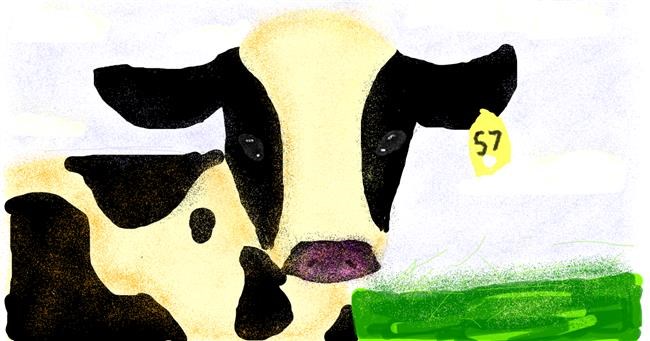 Drawing of Cow by cookie karr