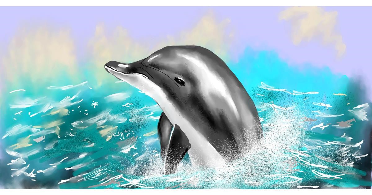 Full Size Drawing