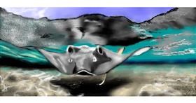 Drawing of Stingray by Chaching