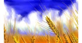 Drawing of Wheat by teidolo