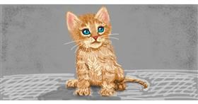 Drawing of Kitten by shiNIN