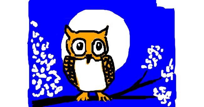 Drawing of Owl by Anonymous