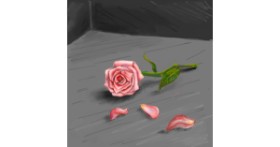 Drawing of Rose by Andromeda