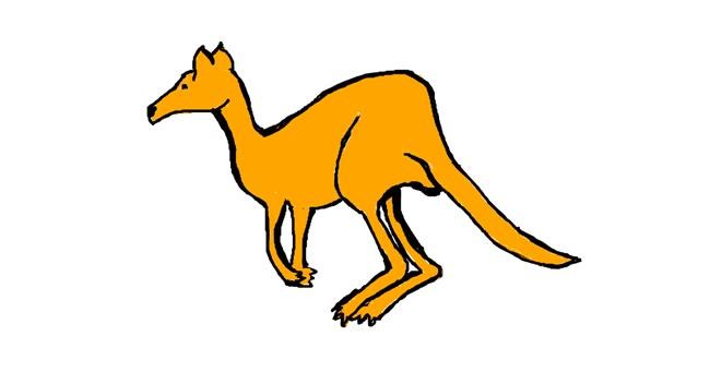 Drawing of Kangaroo by IlikeDancing