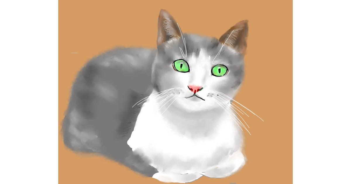 Drawing of Cat by Cec