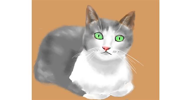 Katze-Zeichnung von Cec