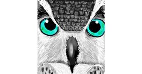 Sova - autor: GreyhoundMama