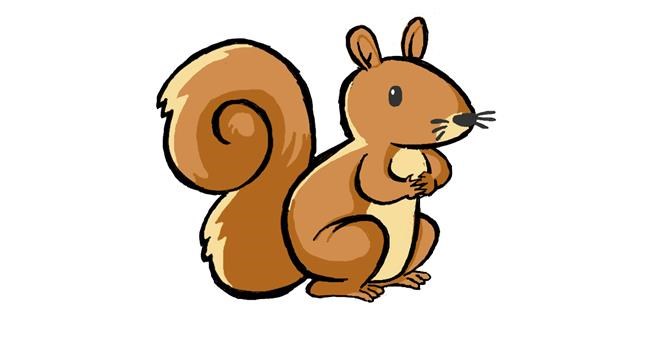 Eichhörnchen-Zeichnung von Sofie