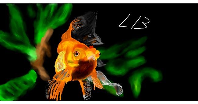 Drawing of Goldfish by Effulgent Emerald