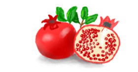 Drawing of Pomegranate by Emi
