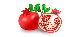 Drawing of Pomegranate by Emi