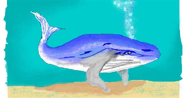 Drawing of Whale by pajama