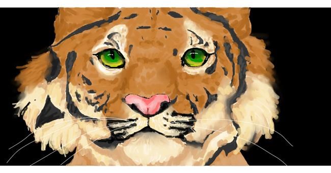 Tiger-Zeichnung von Kokichisalmonellen
