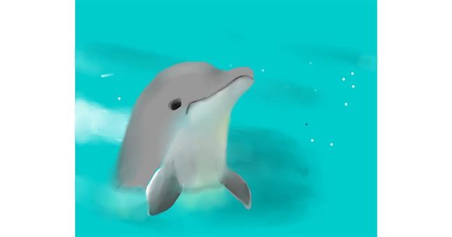 Drawing of Dolphin by Beagle❤️❤️