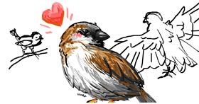Drawing of Sparrow by Saiki_Lame