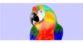 Drawing of Parrot by Debidolittle