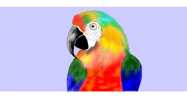 Drawing of Parrot by Debidolittle