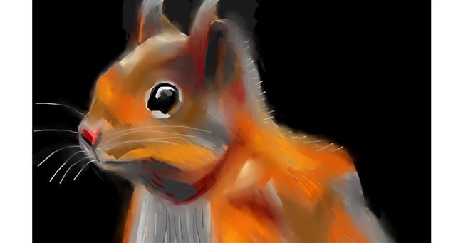 Drawing Of Squirrel By Edgar Drawize Gallery