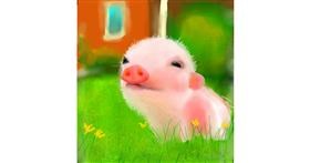 Drawing of Pig by Aprix