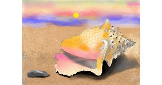 Drawing of Seashell by SAM AKA MARGARET 🙄