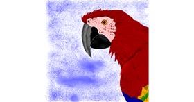 Drawing of Parrot by Korean student