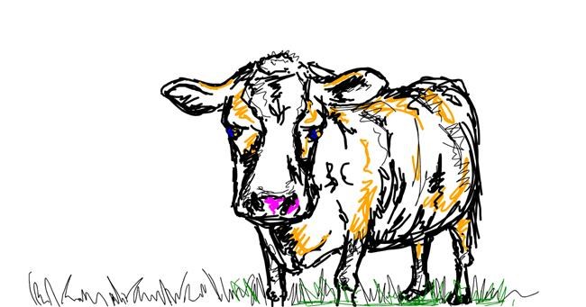 Drawing of Cow by yellowmarshmallow