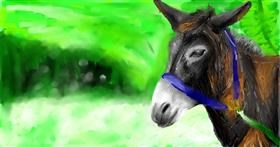 Drawing of Donkey by Mia