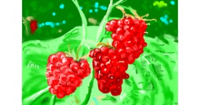 Malina - autor: Flowerpot