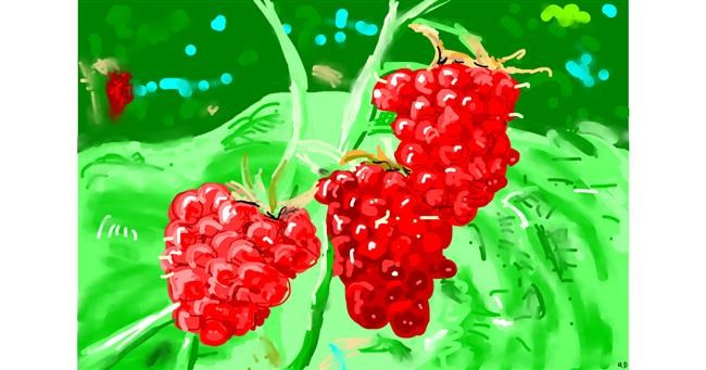 Drawing of Raspberry by flowerpot