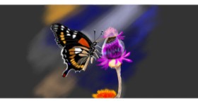 Drawing of Butterfly by Çhåching