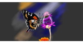 Drawing of Butterfly by Chaching