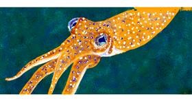 Drawing of Cuttlefish by Rachel 