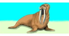 Drawing of Walrus by Debidolittle