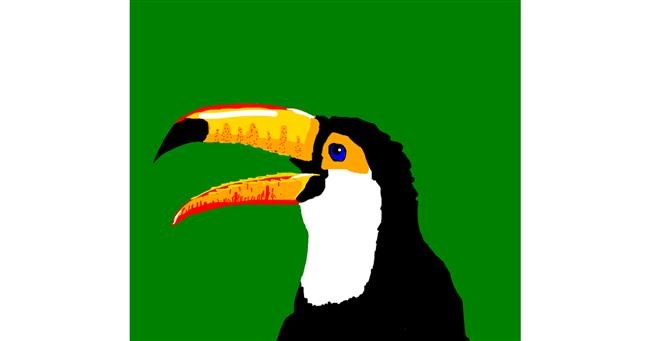 Drawing of Toucan by Anna