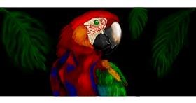 Drawing of Parrot by Annie