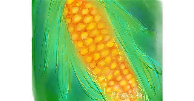 Drawing of Corn by Kai 🐾