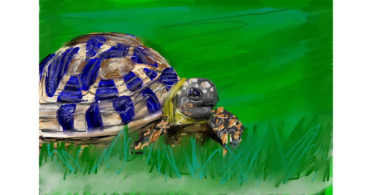 Drawing of Tortoise by Soaring Sunshine