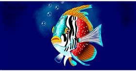 Fisch-Zeichnung von Eclat de Lune