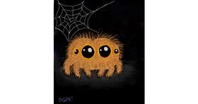Drawing of Spider by GreyhoundMama