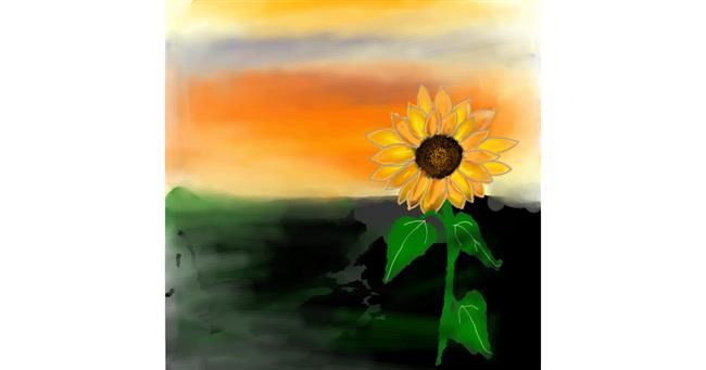 Drawing of Sunflower by NUPSIE the GR8❤❤❤