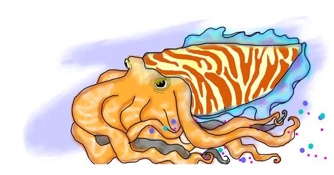 Drawing of Cuttlefish by Debidolittle