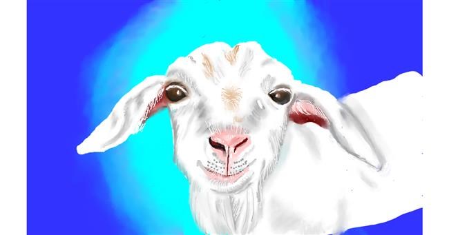 Drawing of Goat by Tim