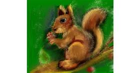 Drawing of Squirrel by Yasi