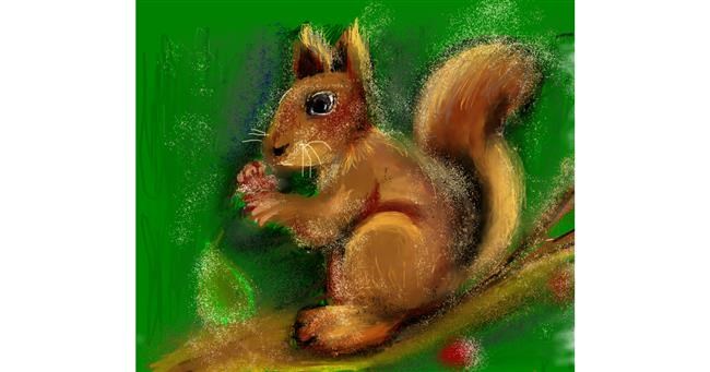 Drawing of Squirrel by Yasi