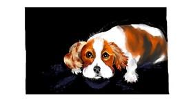 Drawing of Dog by Debidolittle