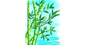 Drawing of Bamboo by SP