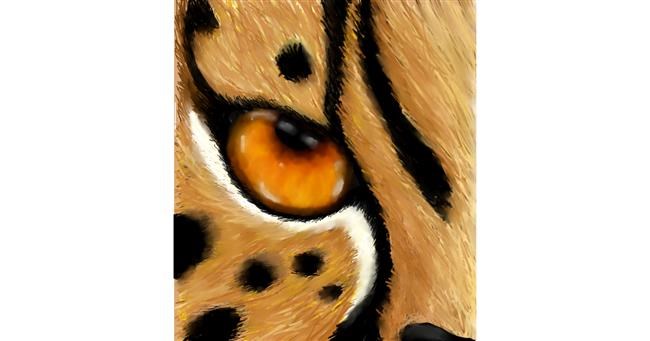 Drawing of Cheetah by 🌌Mom💕E🌌